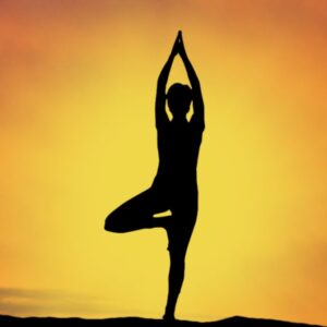 Body Conditioning & Yogāsana Intensive